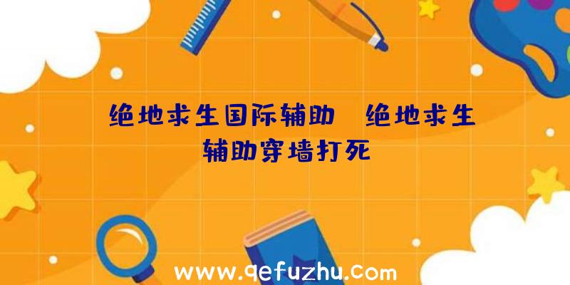 「绝地求生国际辅助」|绝地求生辅助穿墙打死